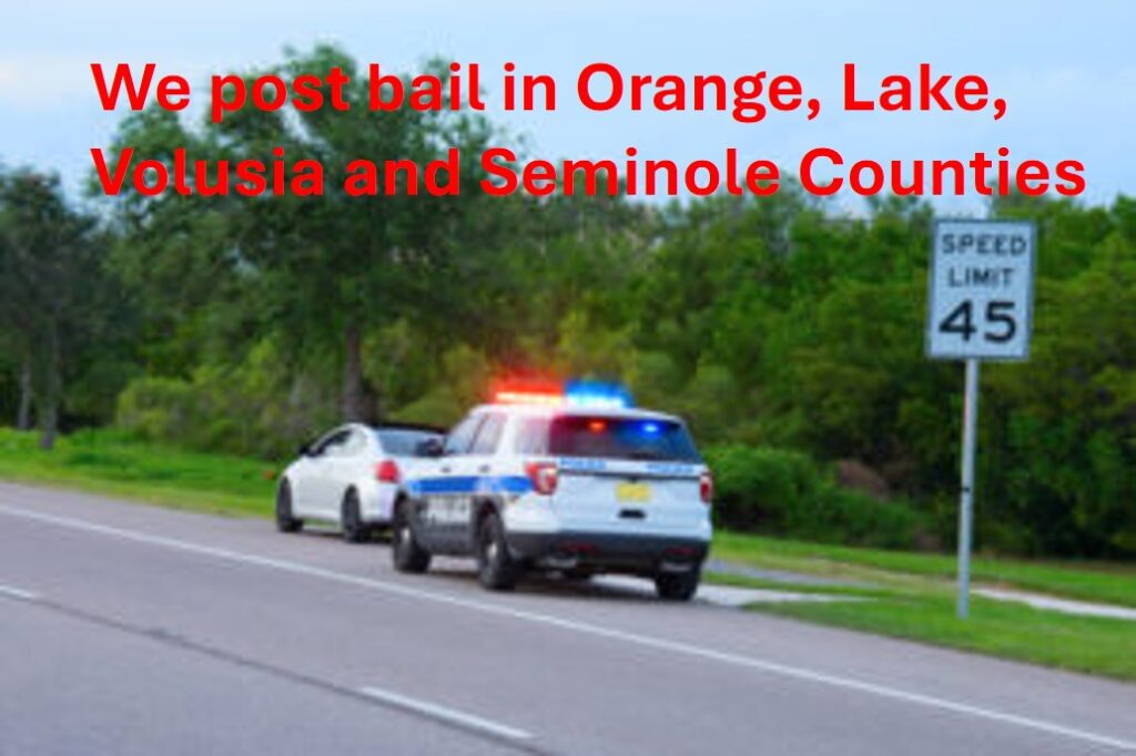 person getting pulled over by police
